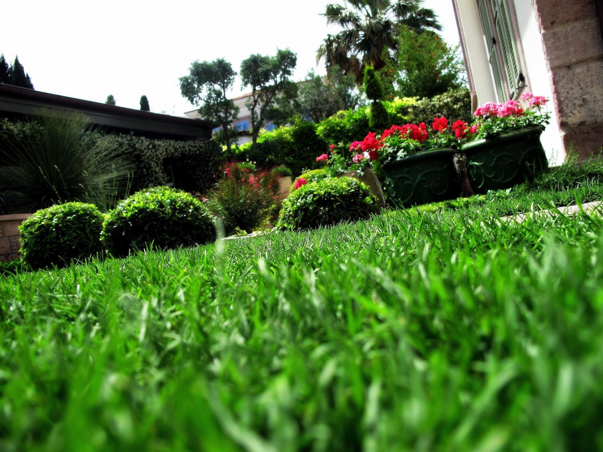 Nisi Hotel (Adults Only) Ayvalı Exteriör bild